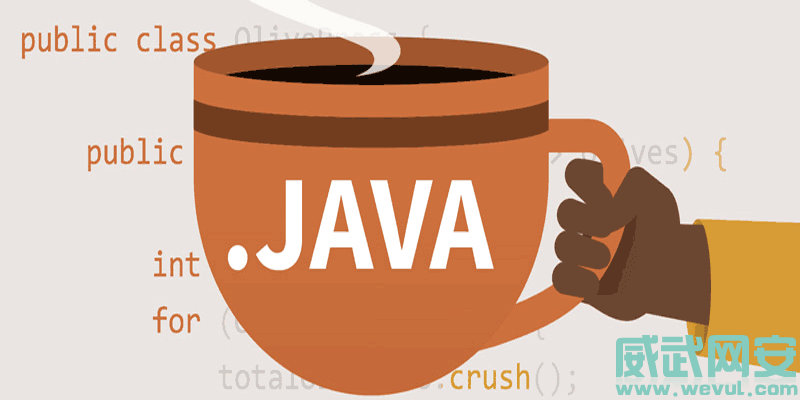 如何解决终端中 Java 输出环境的乱码问题？Windows通用解决方法-威武网安