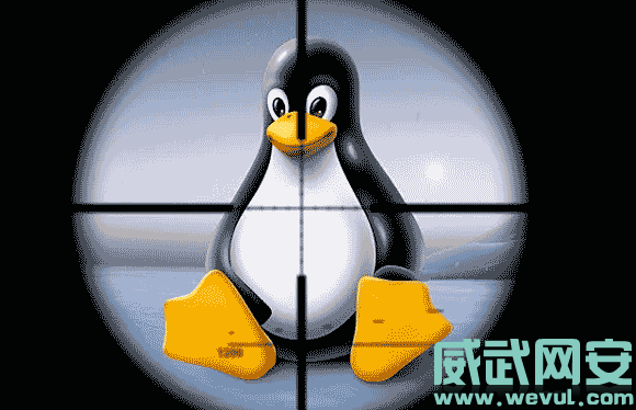 Linux NetFilter 内核漏洞：权限可被提升至“root”（附POC）-威武网安